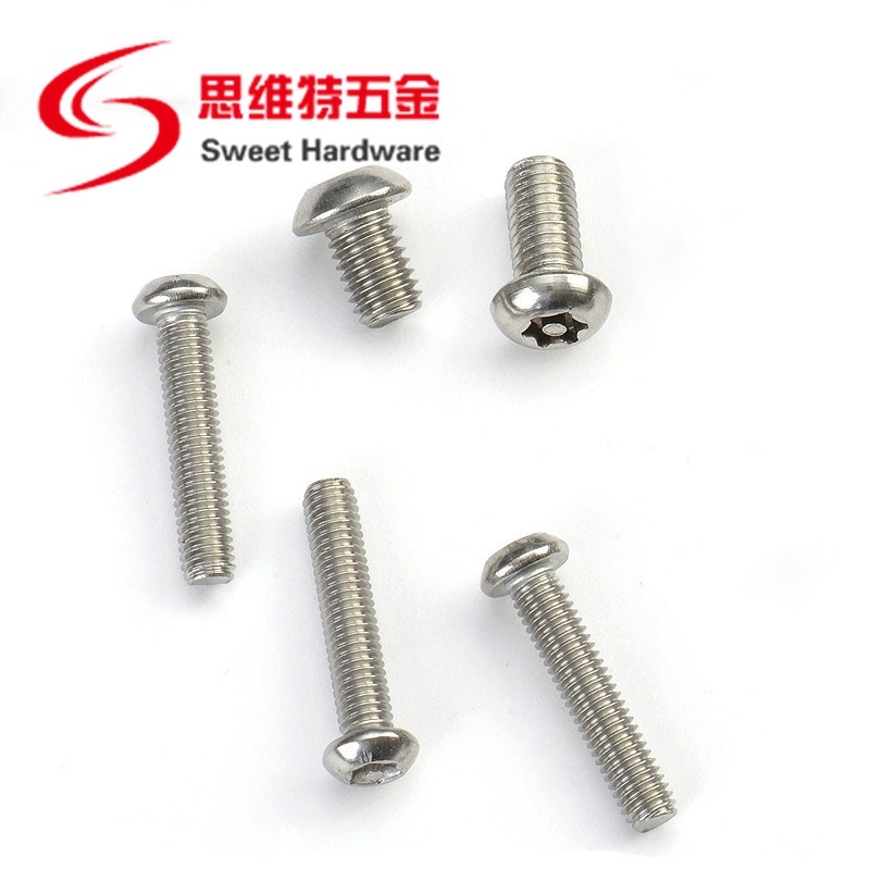 SS304 stainless steel pan head pin-in torx anti-theft machine screw