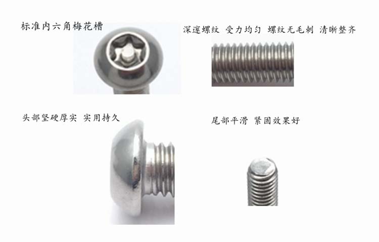 SS304 stainless steel pan head pin-in torx anti-theft machine screw