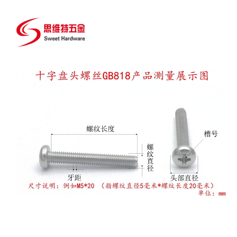 Stainless steel philips pan head screw GB818 screw SS304 316 OEM and ODM supported