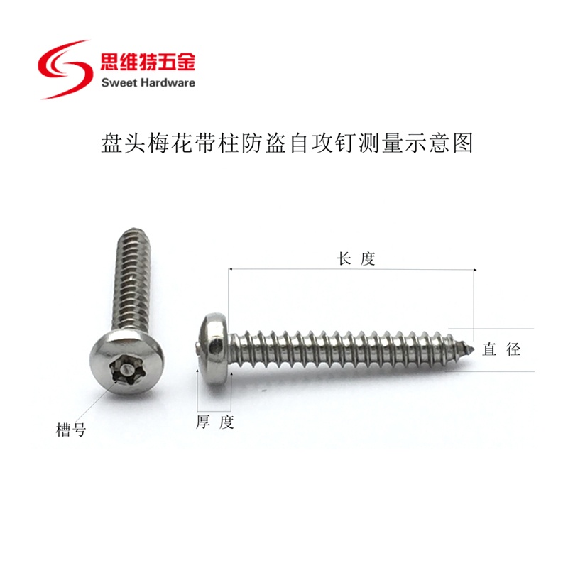 Stainless steel 304 Torx Pin-In pan head drive tapping screws