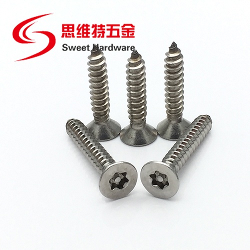 A2 stainless steel 304 countersunk flat head torx pin-in self tapping security screws