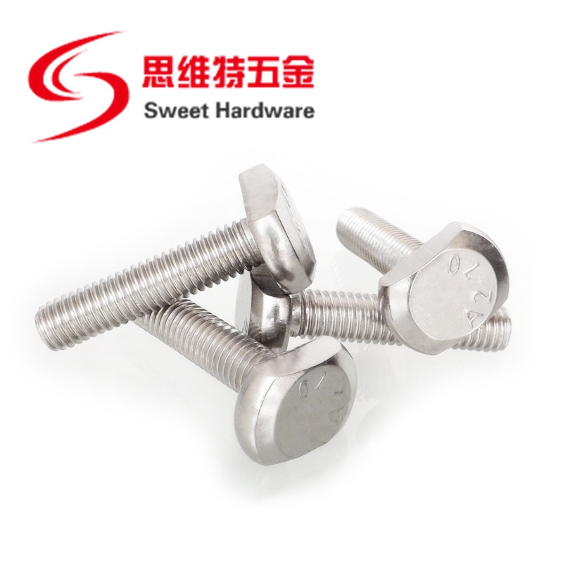 High quality inox 304 stainless steel T bolt