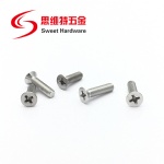 SS304 316 Stainless steel philips flat head screw GB819 screw