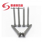 304 stainless steel phillips pan head ss self tapping screw DIN7981