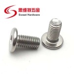 M1.6 M2 M2.5 M3 M4 M5 M6 M8 304 Stainless Steel Hexagon Socket Bolt Ultra Low Head Cap Screws