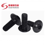 ISO7380-2 Hexagon Socket Button Head Screw with Collar, A2 304 Stainless Steel, Black Oxide Finish