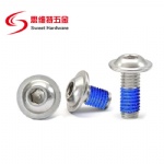 Pre-Applied Blue Nylon Patch Socket Screw Stainless Steel Nylock Threaded Flange Button Head Screw ISO7380-2
